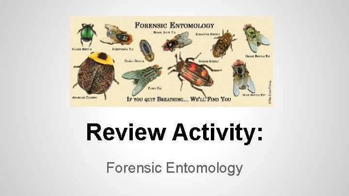 Review Activity: Forensic Entomology 