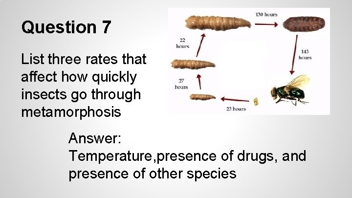 Question 7 List three rates that affect how quickly insects go through metamorphosis Answer: