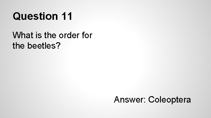 Question 11 What is the order for the beetles? Answer: Coleoptera 