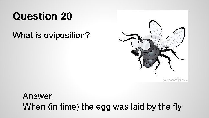 Question 20 What is oviposition? Answer: When (in time) the egg was laid by