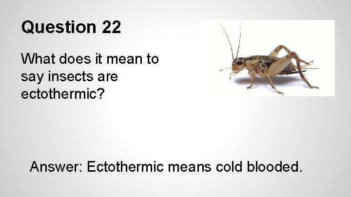 Question 22 What does it mean to say insects are ectothermic? Answer: Ectothermic means