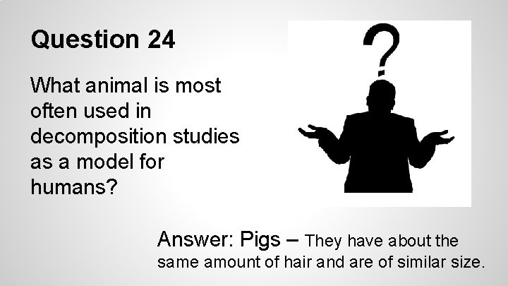 Question 24 What animal is most often used in decomposition studies as a model