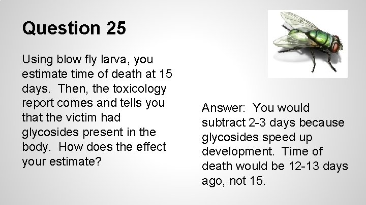 Question 25 Using blow fly larva, you estimate time of death at 15 days.