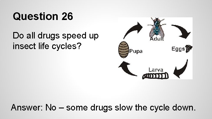 Question 26 Do all drugs speed up insect life cycles? Answer: No – some