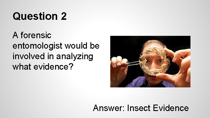 Question 2 A forensic entomologist would be involved in analyzing what evidence? Answer: Insect