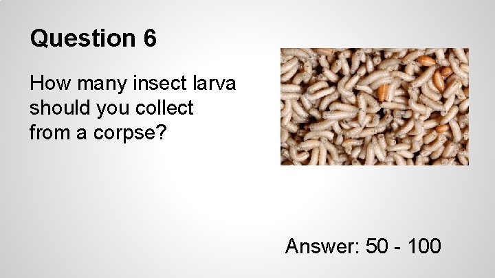 Question 6 How many insect larva should you collect from a corpse? Answer: 50