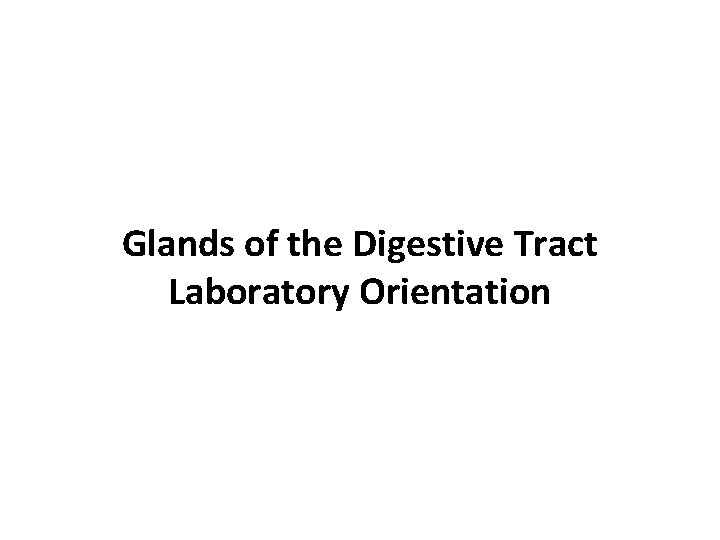 Glands of the Digestive Tract Laboratory Orientation 