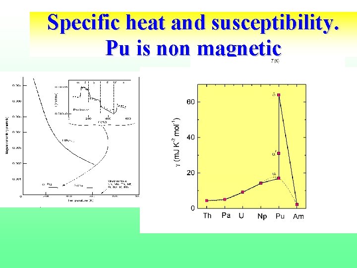 Specific heat and susceptibility. Pu is non magnetic 