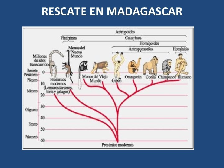 RESCATE EN MADAGASCAR 