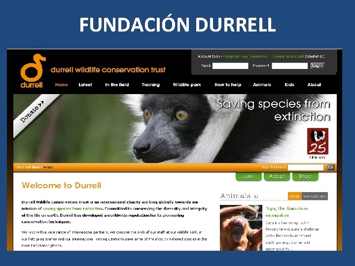 FUNDACIÓN DURRELL 