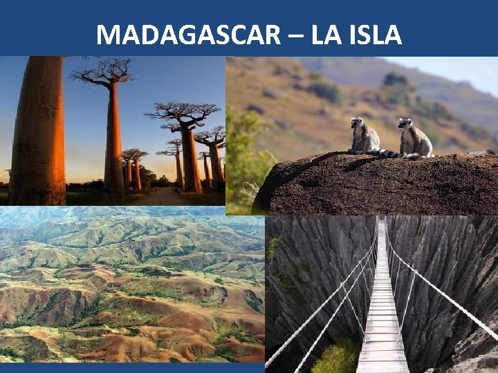 MADAGASCAR – LA ISLA 