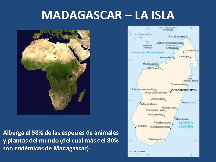 MADAGASCAR – LA ISLA Alberga el 58% de las especies de animales y plantas