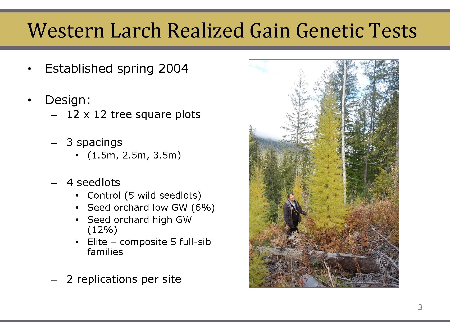 Western Larch Realized Gain Genetic Tests • Established spring 2004 • Design: – 12