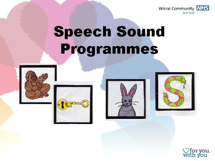 Speech Sound Programmes 