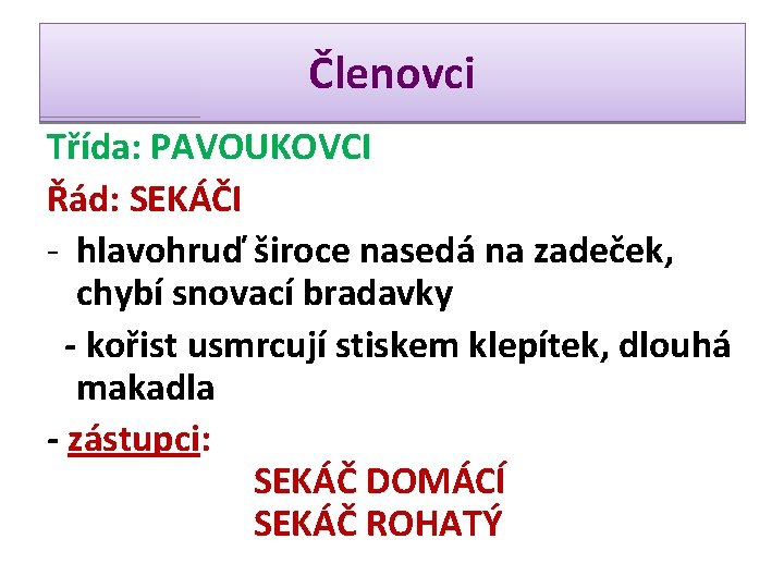 Členovci Třída: PAVOUKOVCI Řád: SEKÁČI - hlavohruď široce nasedá na zadeček, chybí snovací bradavky