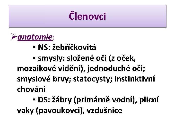 Členovci Øanatomie: ▪ NS: žebříčkovitá ▪ smysly: složené oči (z oček, mozaikové vidění), jednoduché