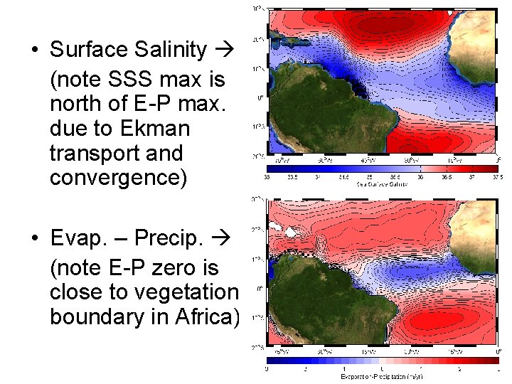  • Surface Salinity (note SSS max is north of E-P max. due to