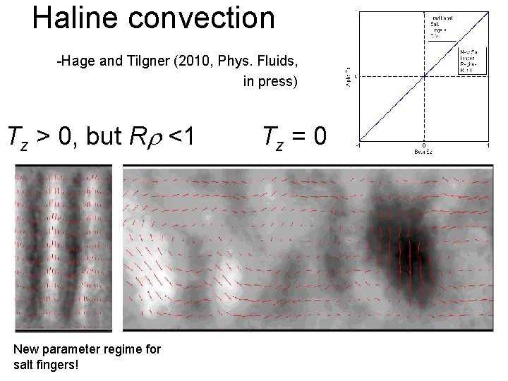 Haline convection -Hage and Tilgner (2010, Phys. Fluids, in press) Tz > 0, but