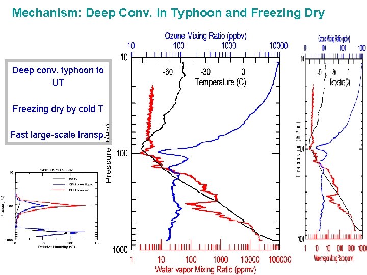 Mechanism: Deep Conv. in Typhoon and Freezing Dry Deep conv. typhoon to UT Freezing