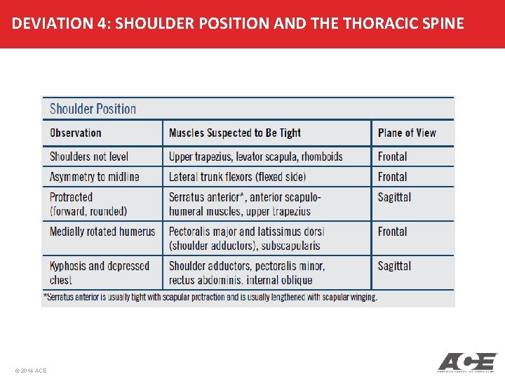 DEVIATION 4: SHOULDER POSITION AND THE THORACIC SPINE © 2014 ACE 