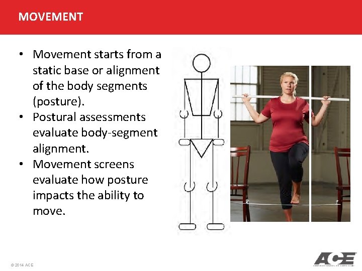 MOVEMENT • Movement starts from a static base or alignment of the body segments