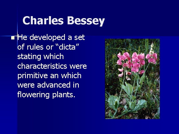 Charles Bessey n He developed a set of rules or “dicta” stating which characteristics