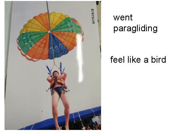 went paragliding feel like a bird 