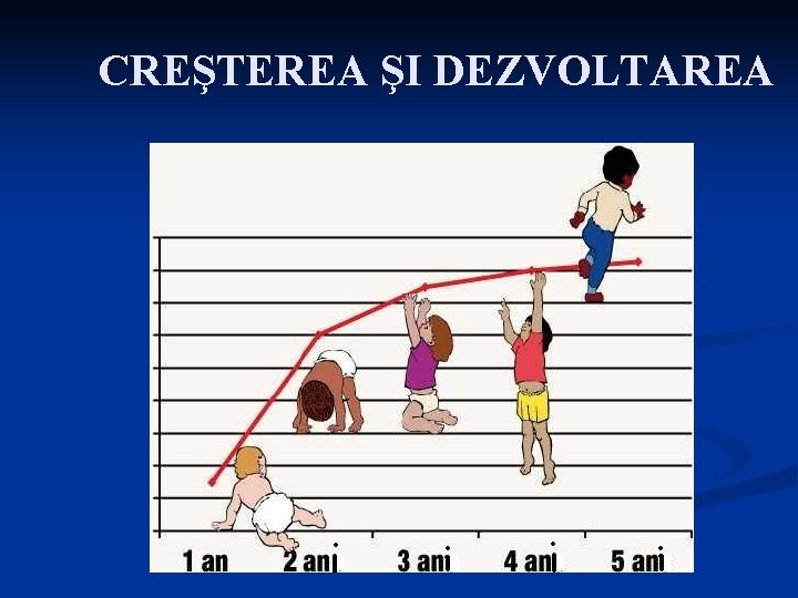 CREŞTEREA ŞI DEZVOLTAREA 