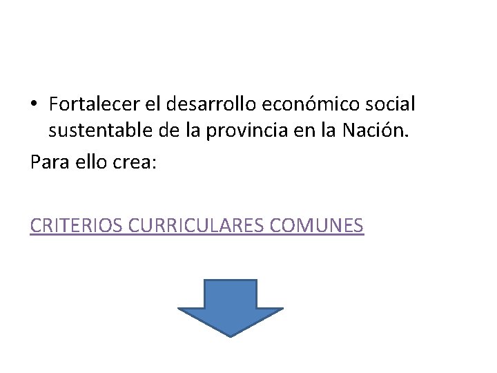 • Fortalecer el desarrollo económico social sustentable de la provincia en la Nación. • Fortalecer el desarrollo económico social sustentable de la provincia en la Nación.