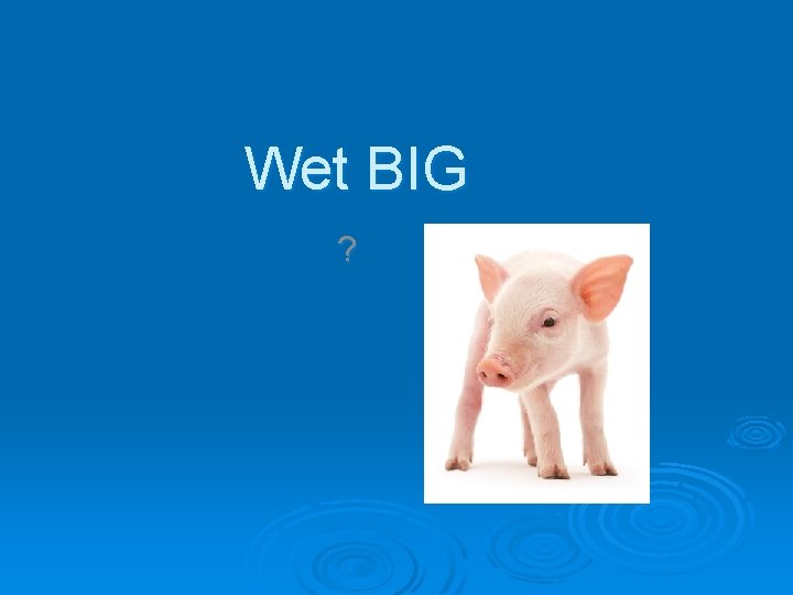 Wet BIG ? 