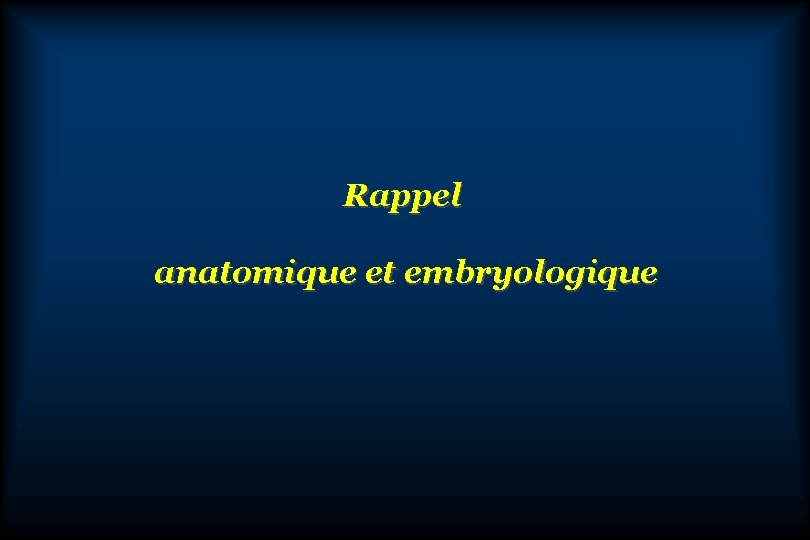 Rappel anatomique et embryologique 