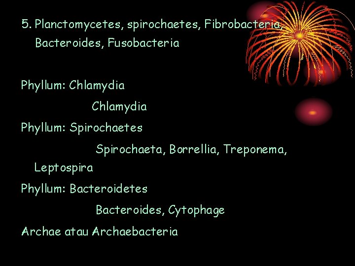 5. Planctomycetes, spirochaetes, Fibrobacteria, Bacteroides, Fusobacteria Phyllum: Chlamydia Phyllum: Spirochaetes Spirochaeta, Borrellia, Treponema, Leptospira