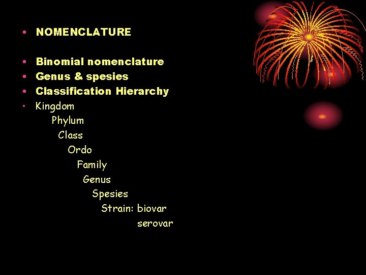  • NOMENCLATURE • • Binomial nomenclature Genus & spesies Classification Hierarchy Kingdom Phylum