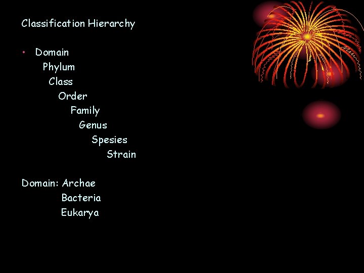 Classification Hierarchy • Domain Phylum Class Order Family Genus Spesies Strain Domain: Archae Bacteria