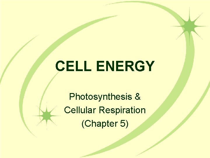 CELL ENERGY Photosynthesis & Cellular Respiration (Chapter 5) 