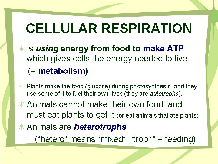 CELLULAR RESPIRATION Is using energy from food to make ATP, which gives cells the