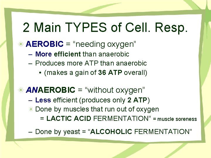 2 Main TYPES of Cell. Resp. AEROBIC = “needing oxygen” – More efficient than