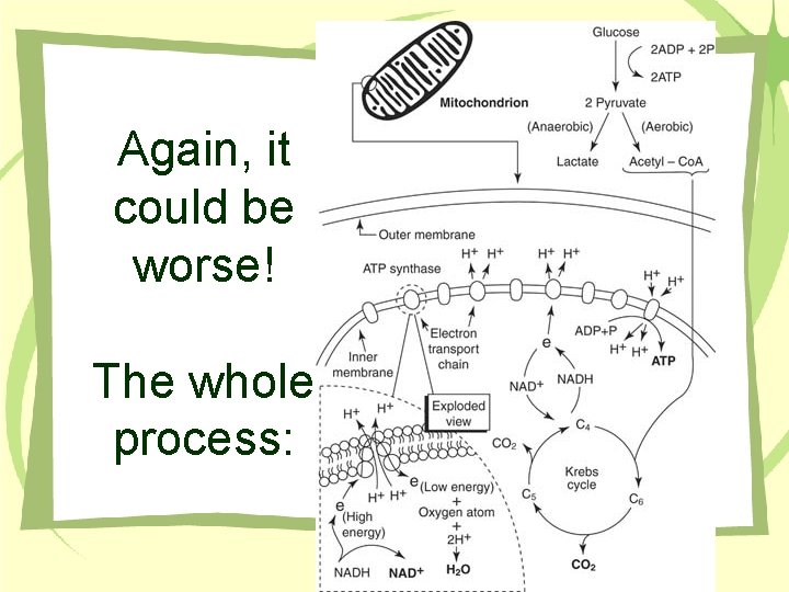 Again, it could be worse! The whole process: 