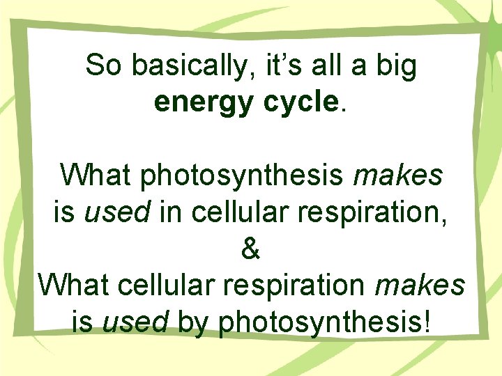 So basically, it’s all a big energy cycle. What photosynthesis makes is used in