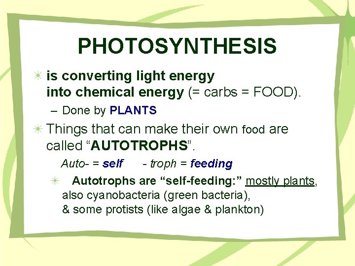 PHOTOSYNTHESIS is converting light energy into chemical energy (= carbs = FOOD). – Done