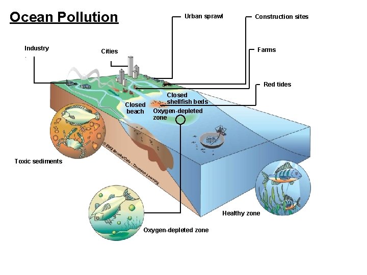 Ocean Pollution Industry. Urban sprawl Construction sites Farms Cities Red tides Closed beach Closed