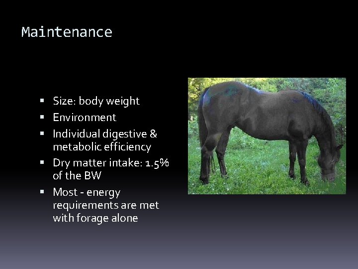 Maintenance Size: body weight Environment Individual digestive & metabolic efficiency Dry matter intake: 1.
