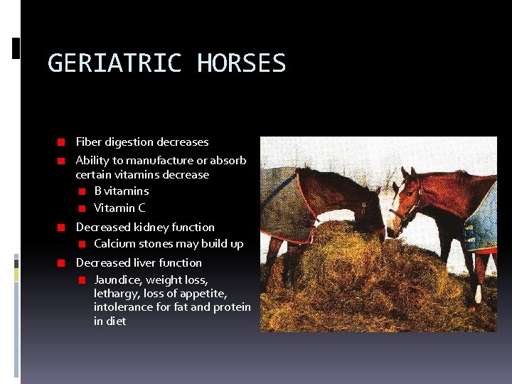 GERIATRIC HORSES Fiber digestion decreases Ability to manufacture or absorb certain vitamins decrease B