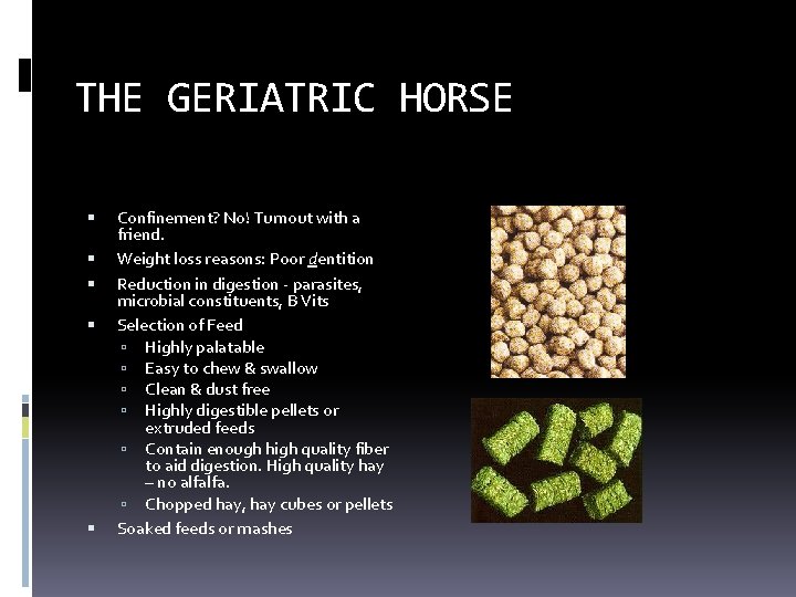 THE GERIATRIC HORSE Confinement? No! Turnout with a friend. Weight loss reasons: Poor dentition