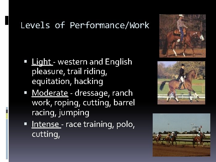 Levels of Performance/Work Light - western and English pleasure, trail riding, equitation, hacking Moderate