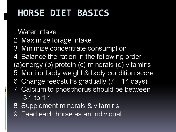HORSE DIET BASICS 1. Water intake 2. Maximize forage intake 3. Minimize concentrate consumption