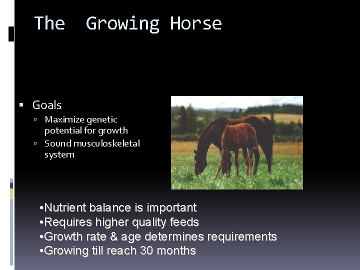 The Growing Horse Goals Maximize genetic potential for growth Sound musculoskeletal system • Nutrient