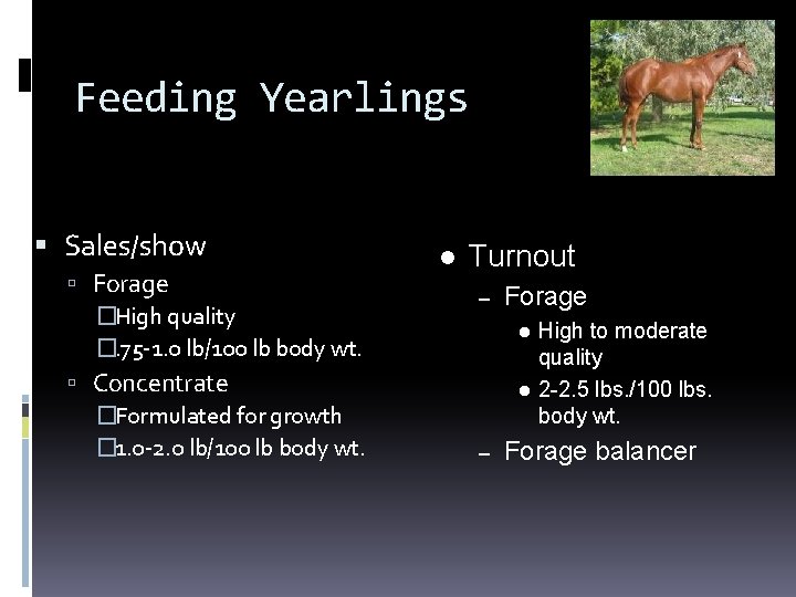 Feeding Yearlings Sales/show Forage �High quality �. 75 -1. 0 lb/100 lb body wt.