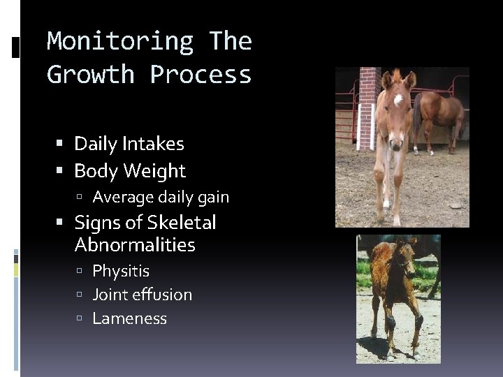 Monitoring The Growth Process Daily Intakes Body Weight Average daily gain Signs of Skeletal