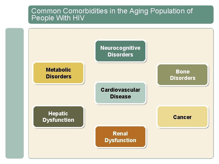 A Closer Look HIV in the Aging Population